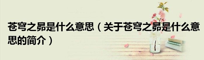 蒼穹之昴是什么意思（關(guān)于蒼穹之昴是什么意思的簡介）