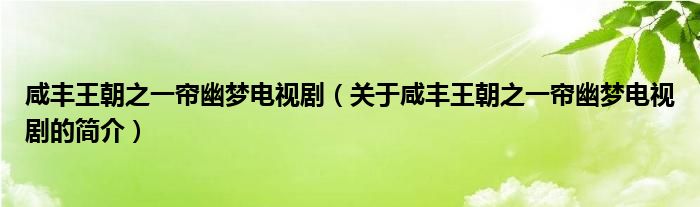 咸豐王朝之一簾幽夢電視劇（關(guān)于咸豐王朝之一簾幽夢電視劇的簡介）