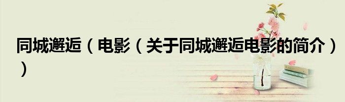 同城邂逅（電影（關(guān)于同城邂逅電影的簡(jiǎn)介））