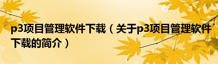 p3項(xiàng)目管理軟件下載（關(guān)于p3項(xiàng)目管理軟件下載的簡介）