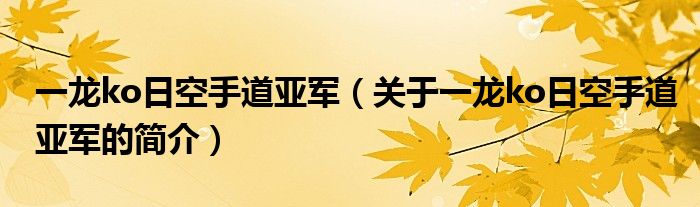 一龍ko日空手道亞軍（關于一龍ko日空手道亞軍的簡介）