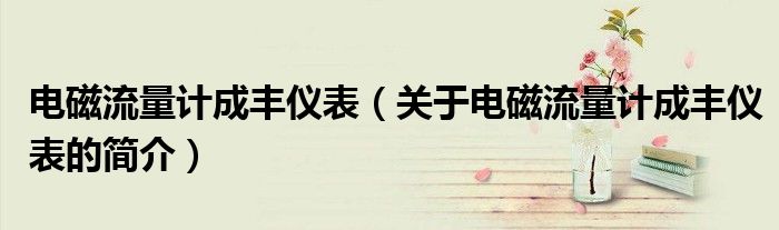 電磁流量計成豐儀表（關(guān)于電磁流量計成豐儀表的簡介）