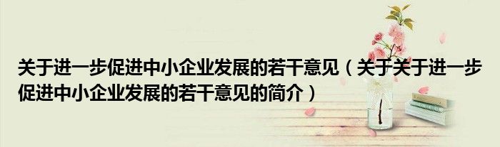 關于進一步促進中小企業(yè)發(fā)展的若干意見（關于關于進一步促進中小企業(yè)發(fā)展的若干意見的簡介）