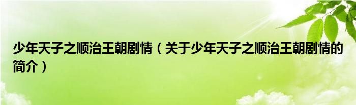 少年天子之順治王朝劇情（關于少年天子之順治王朝劇情的簡介）