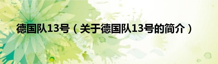 德國(guó)隊(duì)13號(hào)（關(guān)于德國(guó)隊(duì)13號(hào)的簡(jiǎn)介）