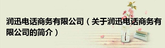 潤迅電話商務有限公司（關于潤迅電話商務有限公司的簡介）