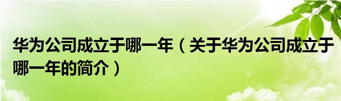 華為公司成立于哪一年（關(guān)于華為公司成立于哪一年的簡(jiǎn)介）