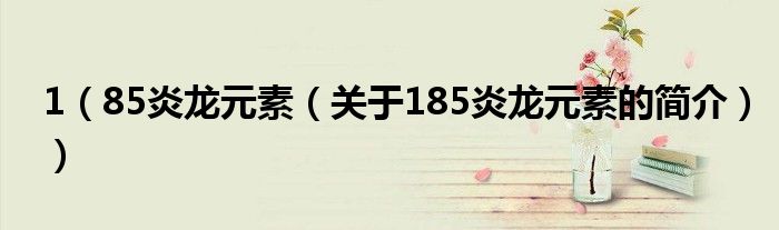 1（85炎龍元素（關于185炎龍元素的簡介））
