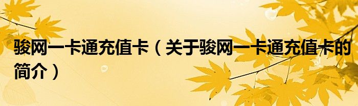 駿網(wǎng)一卡通充值卡（關(guān)于駿網(wǎng)一卡通充值卡的簡介）