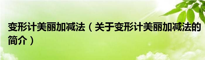 變形計(jì)美麗加減法（關(guān)于變形計(jì)美麗加減法的簡(jiǎn)介）