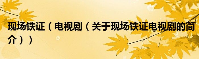 現(xiàn)場鐵證（電視?。P(guān)于現(xiàn)場鐵證電視劇的簡介））