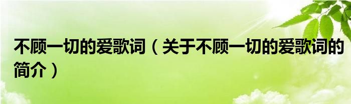 不顧一切的愛歌詞（關(guān)于不顧一切的愛歌詞的簡(jiǎn)介）