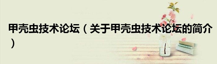甲殼蟲技術論壇（關于甲殼蟲技術論壇的簡介）