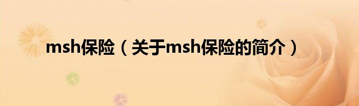 msh保險（關于msh保險的簡介）