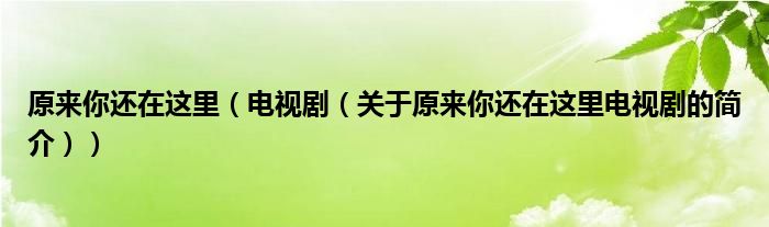 原來你還在這里（電視?。P(guān)于原來你還在這里電視劇的簡介））