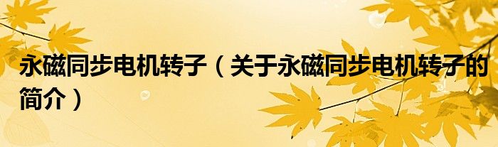 永磁同步電機轉(zhuǎn)子（關(guān)于永磁同步電機轉(zhuǎn)子的簡介）