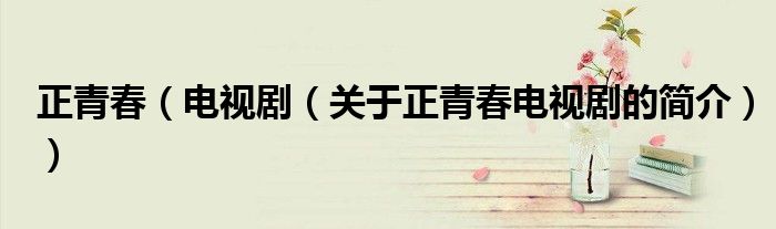 正青春（電視?。P于正青春電視劇的簡介））