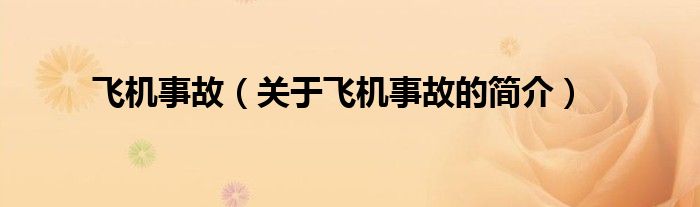 飛機事故（關于飛機事故的簡介）