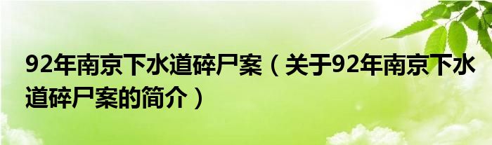 92年南京下水道碎尸案（關于92年南京下水道碎尸案的簡介）