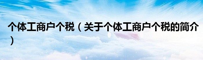 個體工商戶個稅（關(guān)于個體工商戶個稅的簡介）