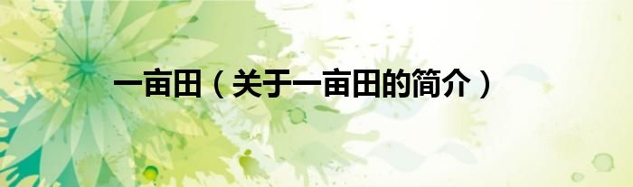 一畝田（關(guān)于一畝田的簡(jiǎn)介）