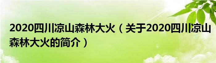 2020四川涼山森林大火（關(guān)于2020四川涼山森林大火的簡介）