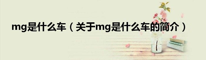 mg是什么車（關(guān)于mg是什么車的簡(jiǎn)介）