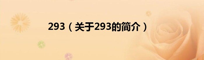 293（關于293的簡介）