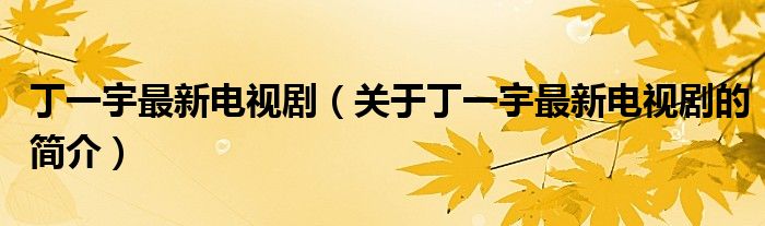 丁一宇最新電視劇（關(guān)于丁一宇最新電視劇的簡介）