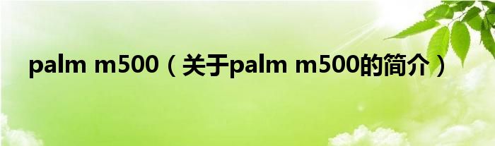 palm m500（關于palm m500的簡介）