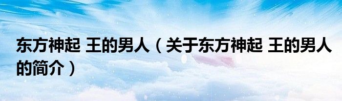 東方神起 王的男人（關于東方神起 王的男人的簡介）