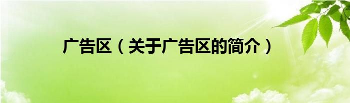 廣告區(qū)（關(guān)于廣告區(qū)的簡(jiǎn)介）