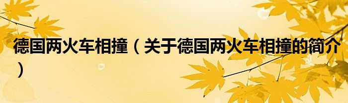 德國兩火車相撞（關(guān)于德國兩火車相撞的簡介）