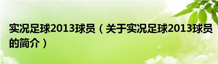 實況足球2013球員（關(guān)于實況足球2013球員的簡介）