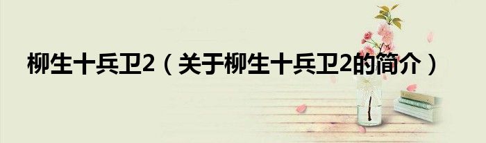 柳生十兵衛(wèi)2（關于柳生十兵衛(wèi)2的簡介）
