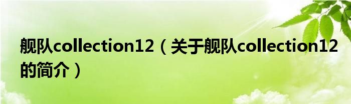 艦隊(duì)collection12（關(guān)于艦隊(duì)collection12的簡介）