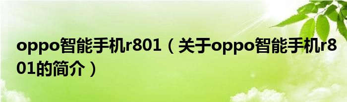 oppo智能手機r801（關于oppo智能手機r801的簡介）