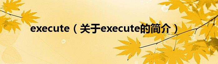 execute（關(guān)于execute的簡介）