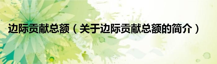 邊際貢獻(xiàn)總額（關(guān)于邊際貢獻(xiàn)總額的簡(jiǎn)介）
