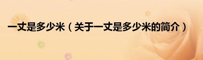 一丈是多少米（關于一丈是多少米的簡介）