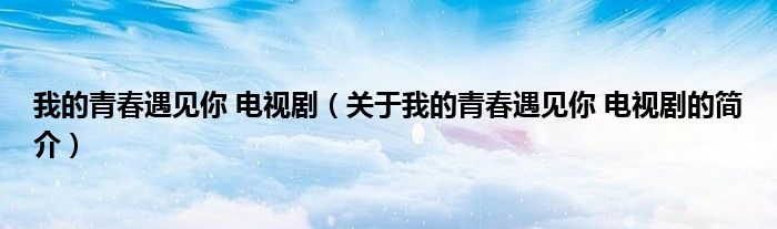 我的青春遇見你 電視?。P(guān)于我的青春遇見你 電視劇的簡介）
