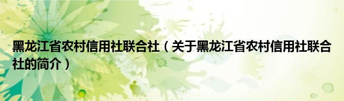 黑龍江省農(nóng)村信用社聯(lián)合社（關于黑龍江省農(nóng)村信用社聯(lián)合社的簡介）