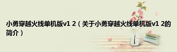 小勇穿越火線單機(jī)版v1 2（關(guān)于小勇穿越火線單機(jī)版v1 2的簡(jiǎn)介）