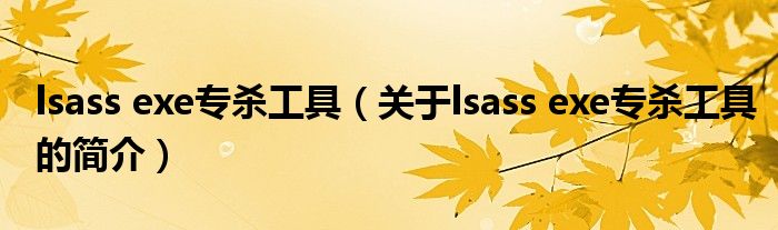 lsass exe專(zhuān)殺工具（關(guān)于lsass exe專(zhuān)殺工具的簡(jiǎn)介）