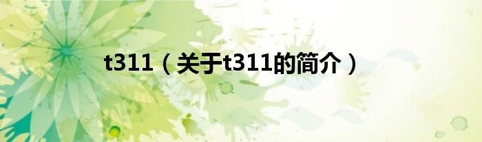 t311（關于t311的簡介）