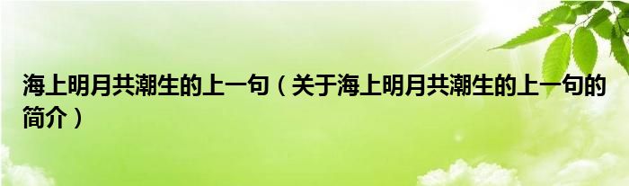 海上明月共潮生的上一句（關于海上明月共潮生的上一句的簡介）