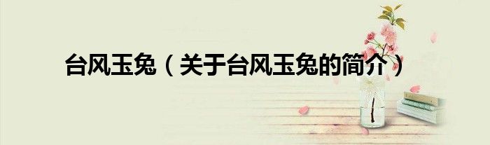 臺風(fēng)玉兔（關(guān)于臺風(fēng)玉兔的簡介）