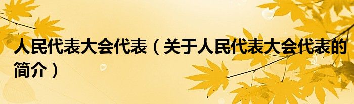 人民代表大會(huì)代表（關(guān)于人民代表大會(huì)代表的簡介）