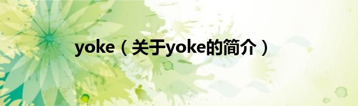yoke（關(guān)于yoke的簡(jiǎn)介）
