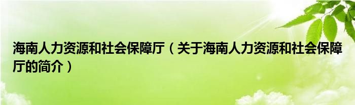 海南人力資源和社會(huì)保障廳（關(guān)于海南人力資源和社會(huì)保障廳的簡介）